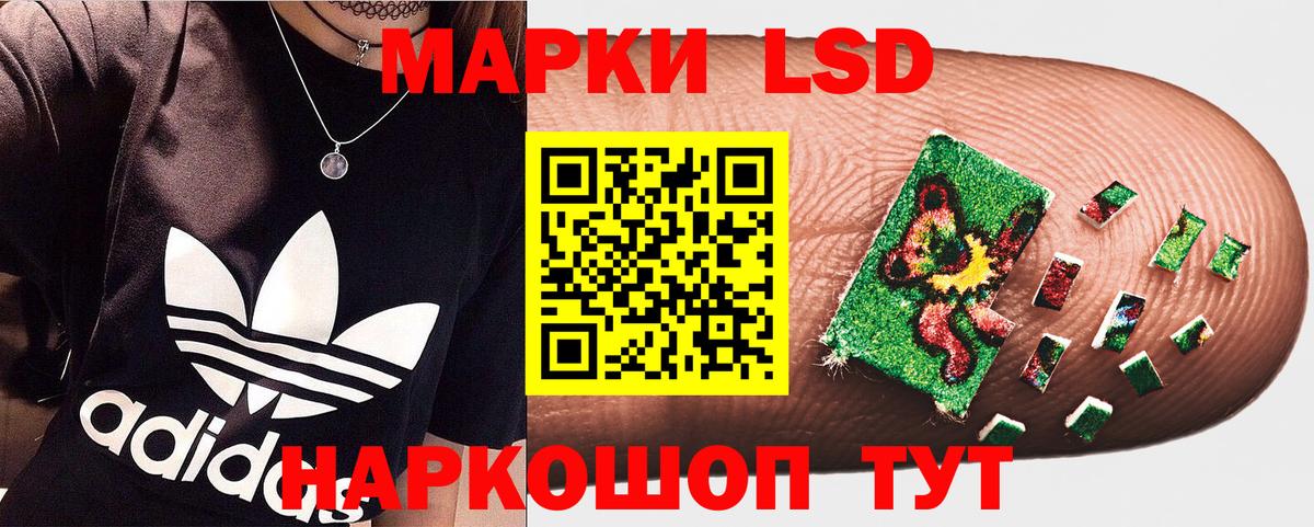 Марки N-bome 1,5мг  где купить наркоту  Вход с VPN  Елизово  Марки N-bome 1,5мг 