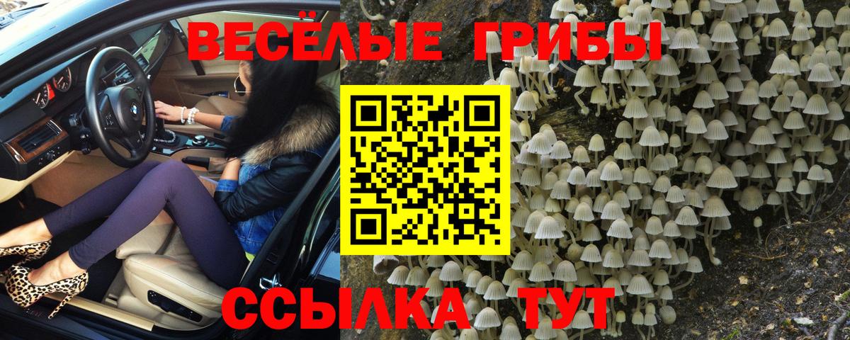 Псилоцибиновые грибы Cubensis  Вход с VPN  Псилоцибиновые грибы мицелий  где можно купить наркотик  Елизово 